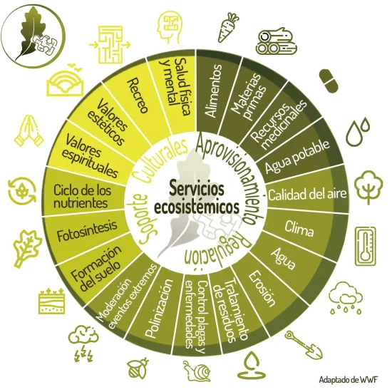 Servicios ecosistémicos Laberinto del Quercus