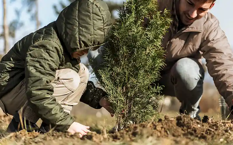 Teniendo en cuenta el objetivo de la forestación, las características del suelo, la orografía del terreno, su situación geográfica con factores como la altitud, y el clima de la zona, atendiendo especialmente a las variaciones térmicas, la humedad y la pluviosidad, podemos llevar a cabo la selección de las especies forestales a emplear, para nosotros uno de los pasos más ilusionantes del proceso.