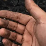 Dar valor a la tierra para cuidar nuestro futuro.webp