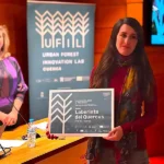Laberinto del Quercus primer premio UFIL Isabel Page